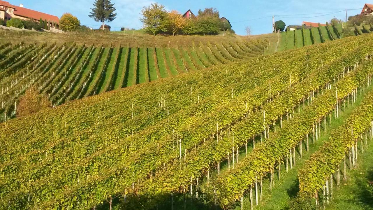 Weingut Stoff Bed & Breakfast Kitzeck im Sausal Exterior photo